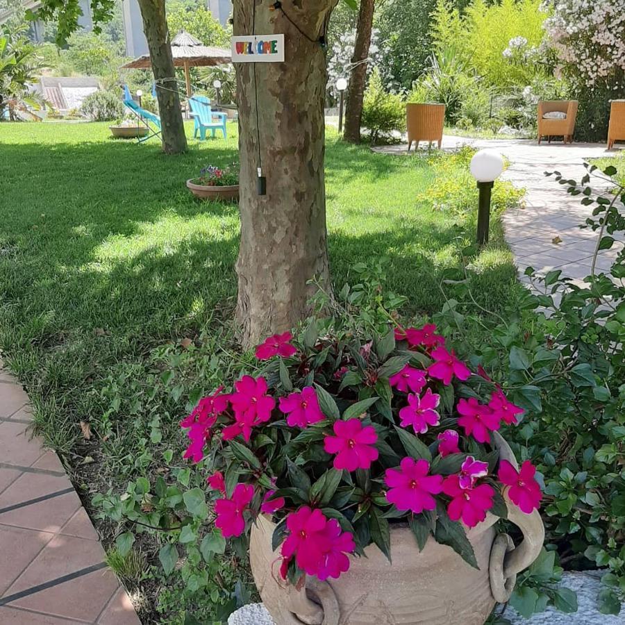 Hotel Parco Delle Rose Acquappesa Exterior photo